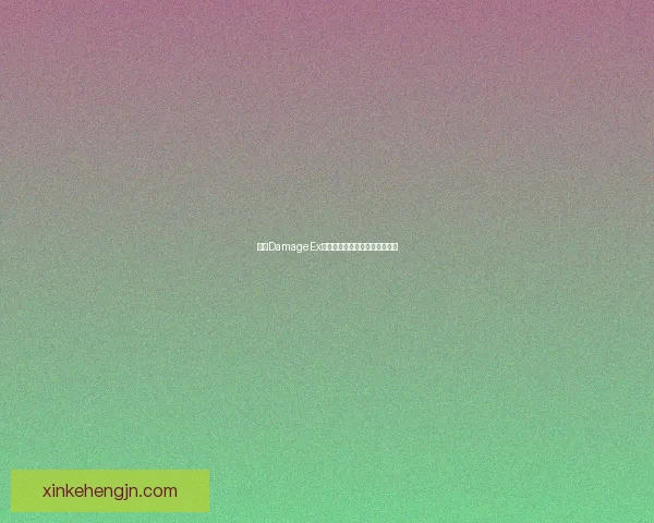 探索DamageEx在网络安全中的应用与挑战分析